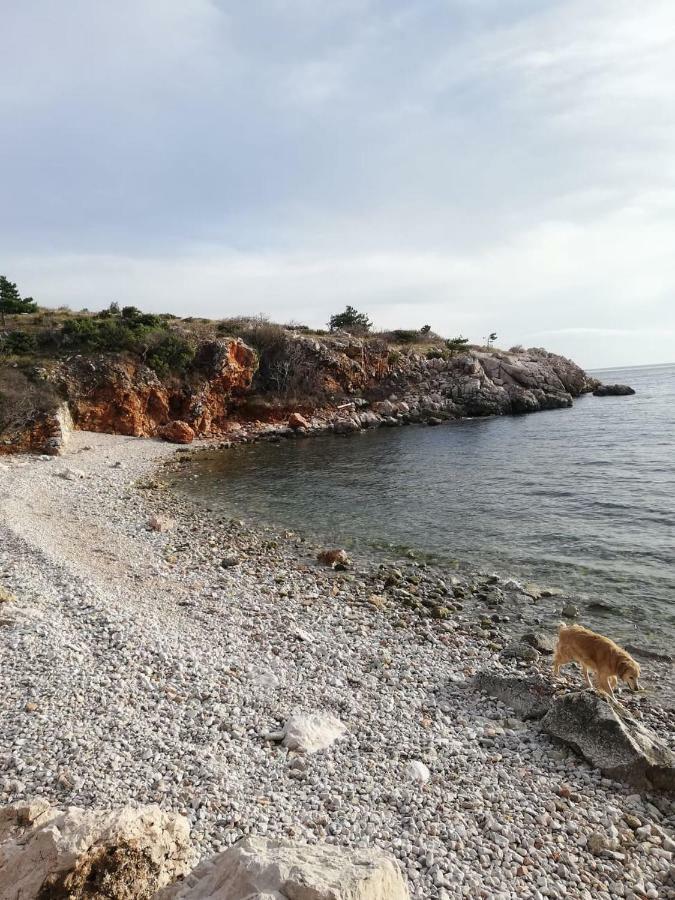 Sobe Apartma Galic Hotell Novi Vinodolski Eksteriør bilde